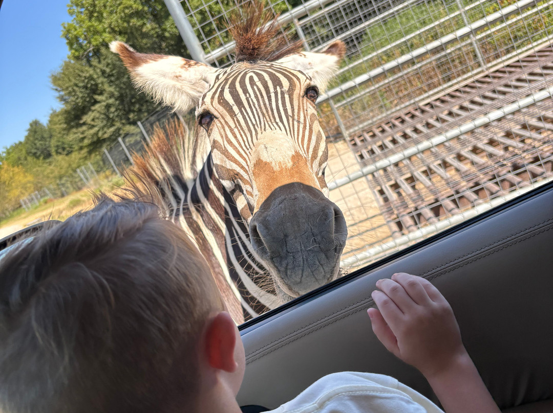 Texas Zoofari Park-Kaufman必去景点