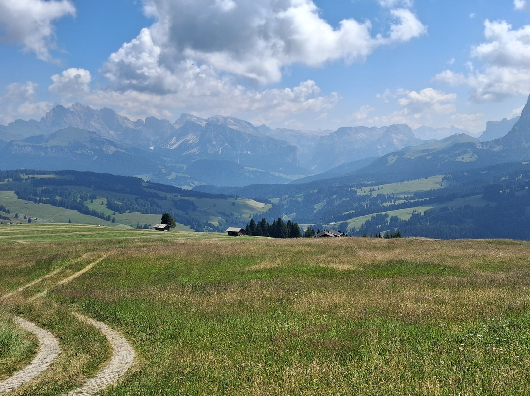 Alpe di Siusi-Alpe di Siusi必去景点