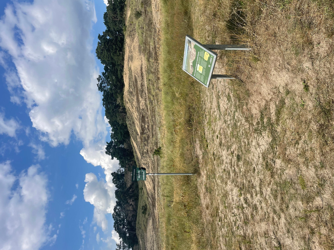 Binnenwanderdüne Klein Schmölen