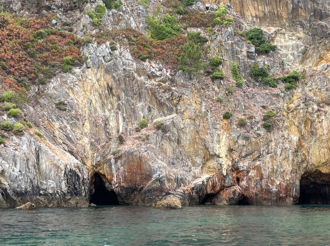 Vedettes Sirenes - Grottes Marines de Morgat-Morgat必去景点