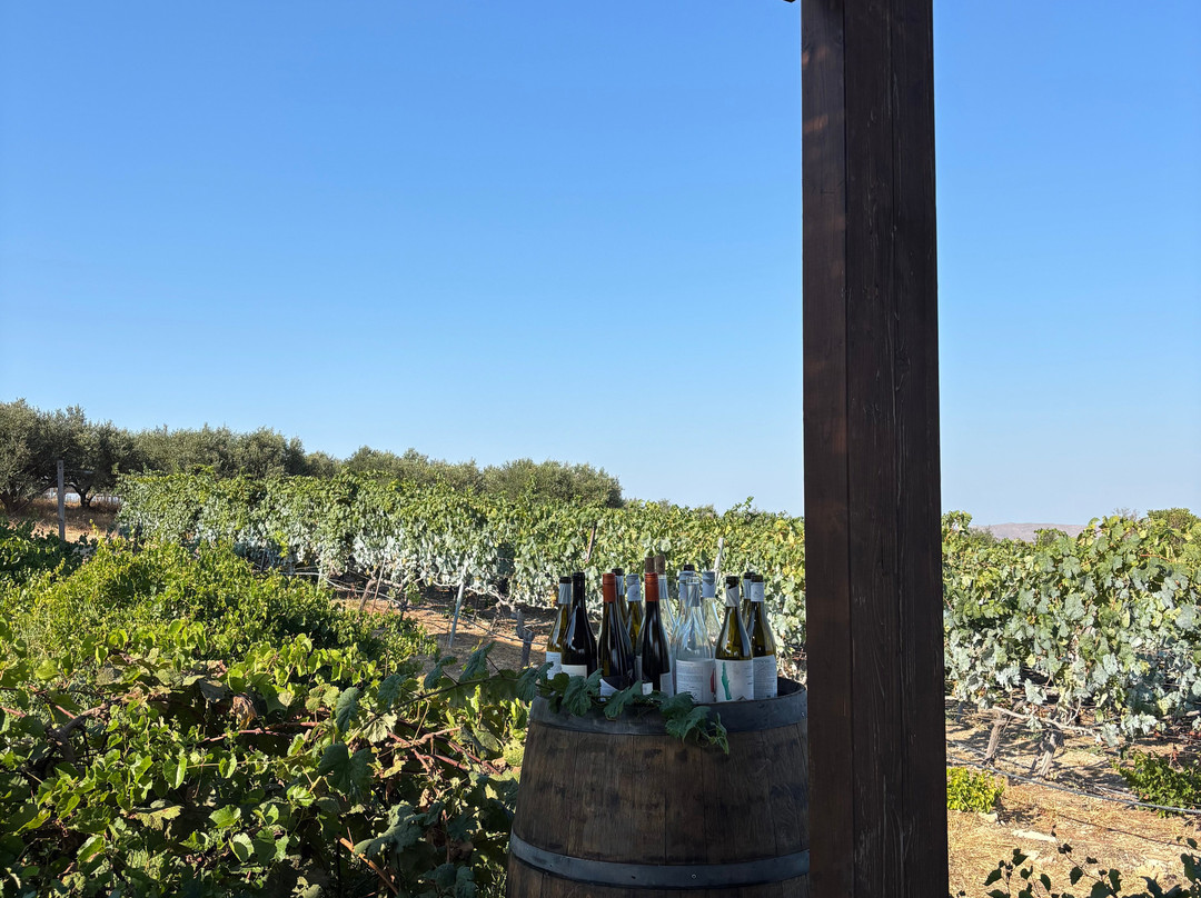 Lyrarakis Winery-伊拉克利翁必去景点