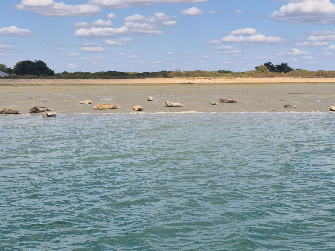 Chichester Harbour Water Tours-West Itchenor必去景点