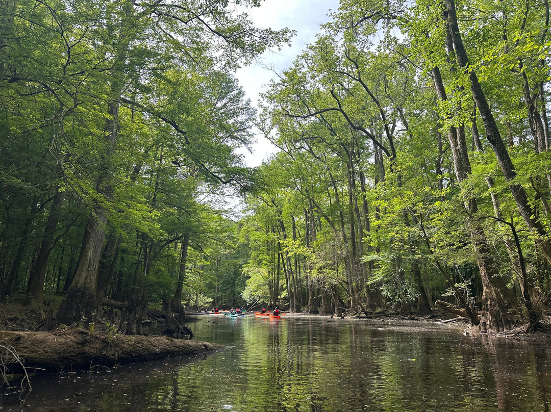 Carolina Outdoor Adventures-厄莫必去景点
