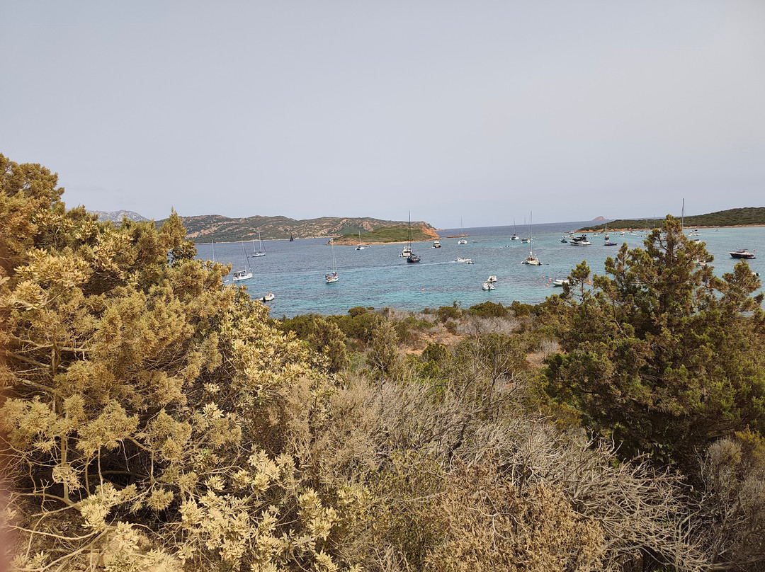Spiaggia Capo Coda Cavallo-San Teodoro必去景点