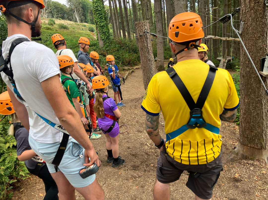 The Tunnel Tree Tops High Ropes-Charmouth必去景点