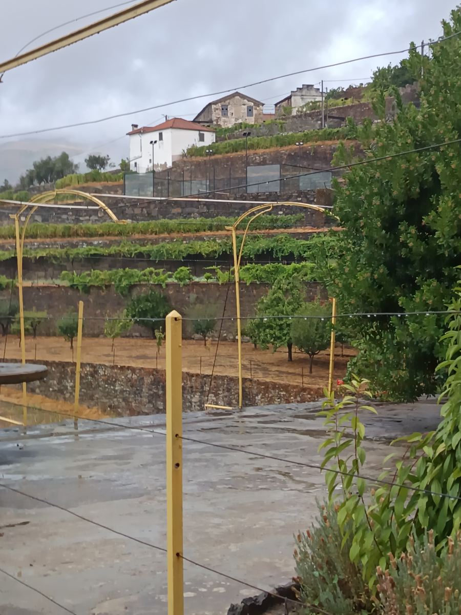 Casa d' Alem-旅行者