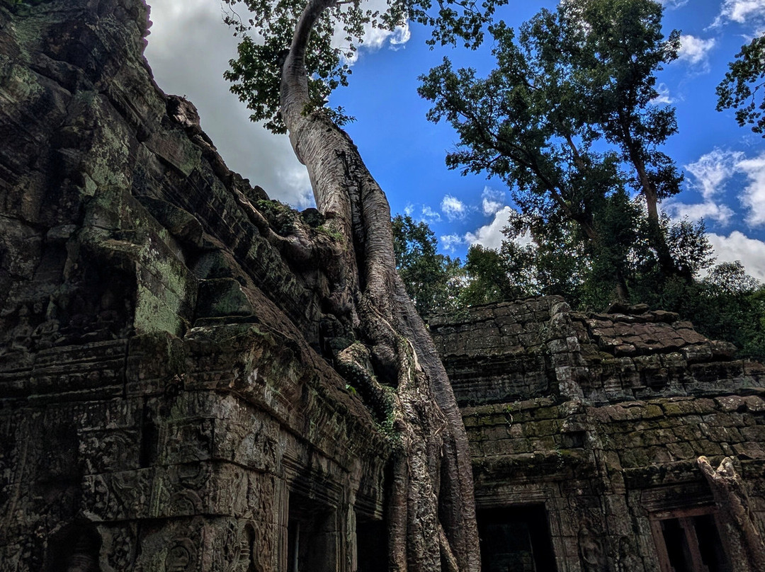 Angkor en Espanol-暹粒必去景点