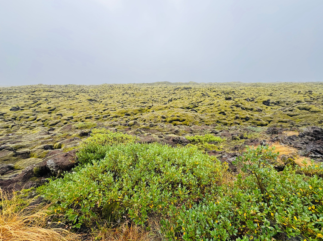 Katla UNESCO Global Geopark-霍尔斯沃德吕尔镇必去景点