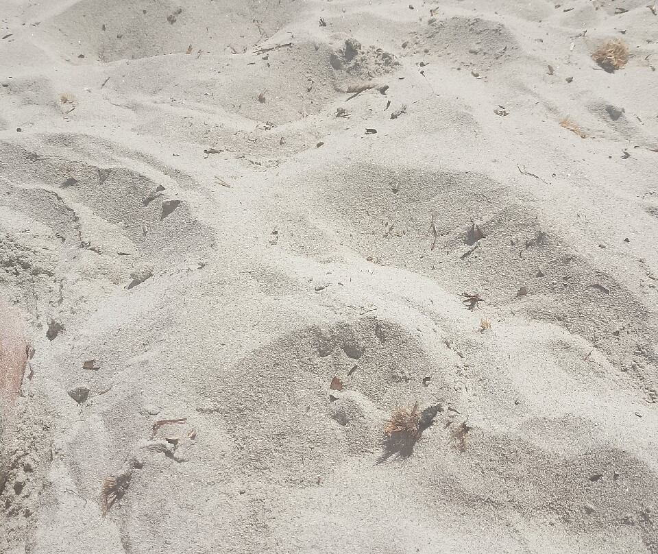 Spiaggia La Cinta-San Teodoro必去景点