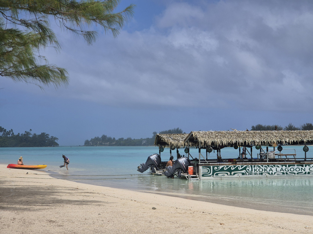 Koka Lagoon Cruises-穆里必去景点