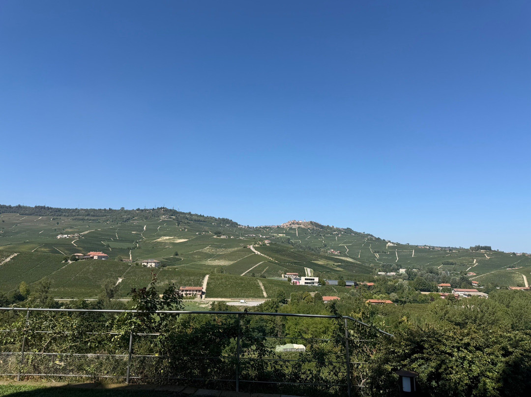 Azienda Agricola Cascina Pugnane S.S. dei F.lli Ghisolfi-Castiglione Falletto必去景点