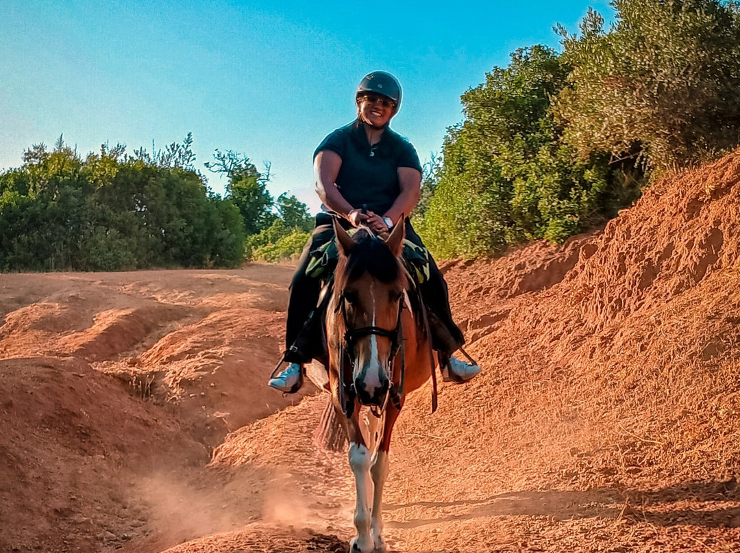 Solid Rocks Algarve Horse Trail Adventures-Porches必去景点