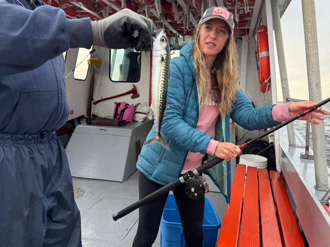 Peggy's Cove Boat Tours-Peggy's Cove必去景点