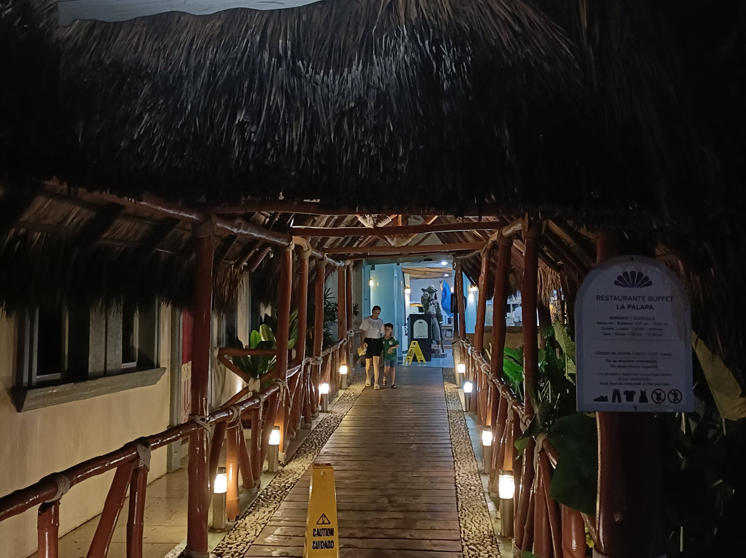Agencia de Viajes Travel Oly-奇瓦瓦州必去景点