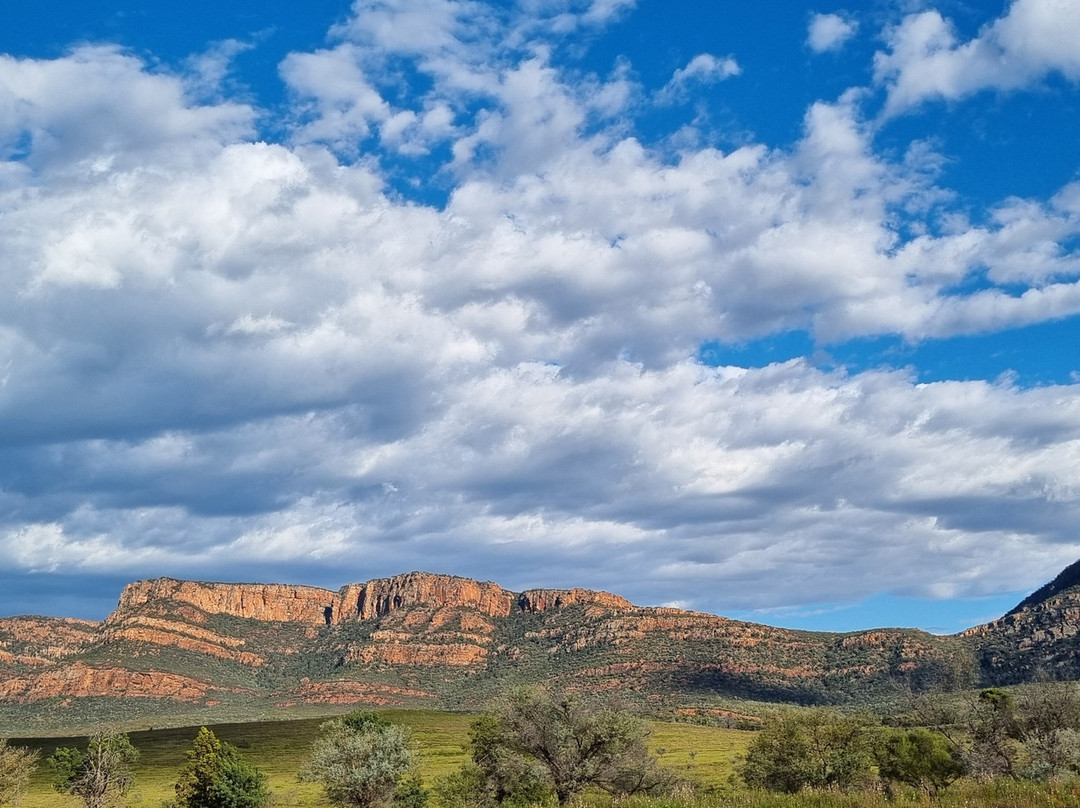 Gekko Safari - Outback Tours-Belair必去景点