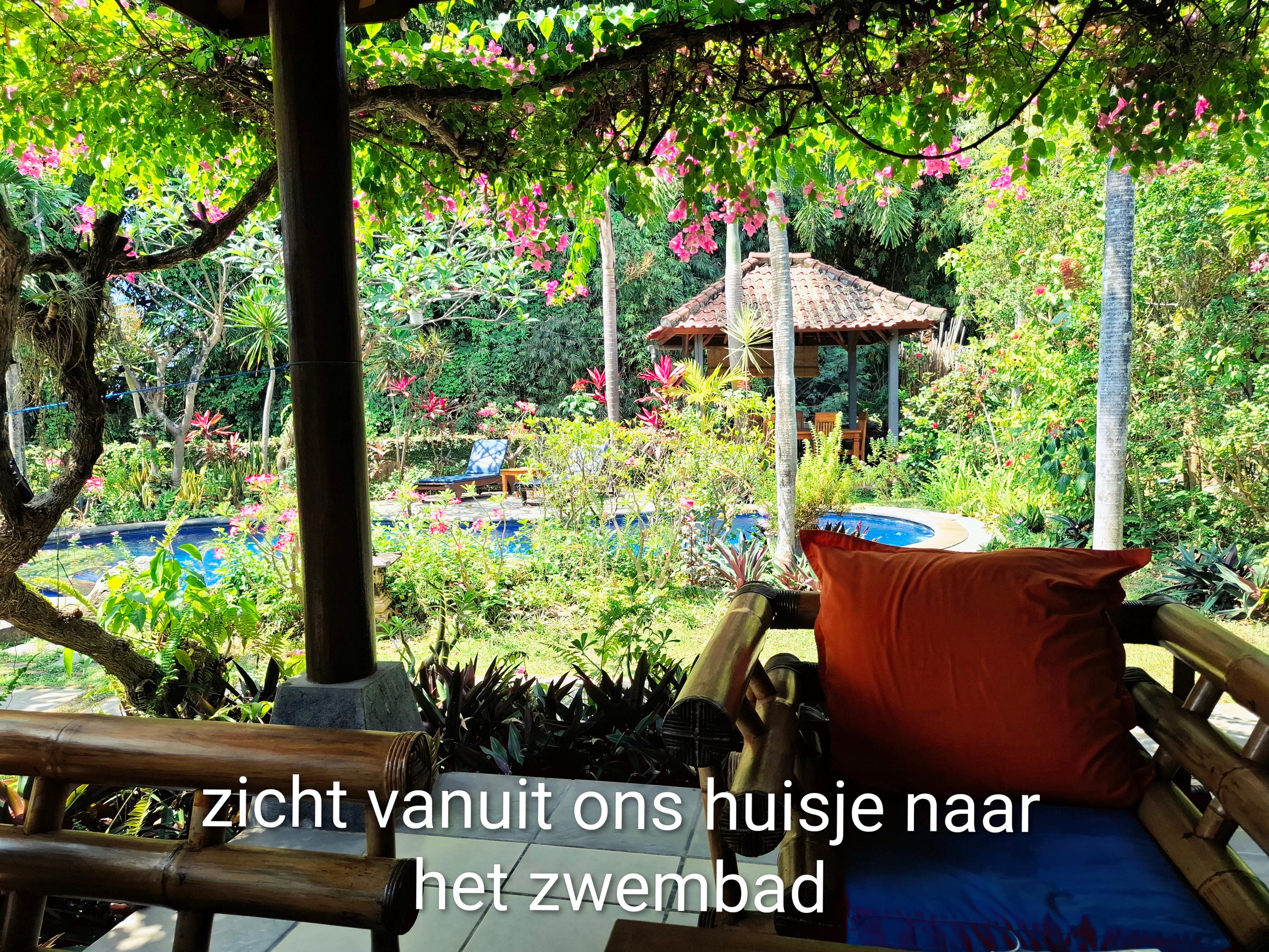 萨拉斯瓦蒂度假屋-旅行者