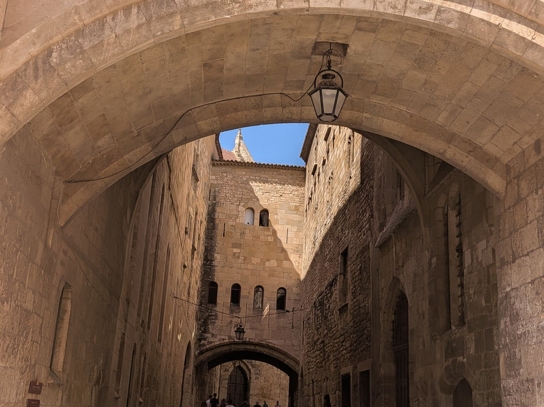 Cathédrale Saint-just Narbonne-纳博讷必去景点