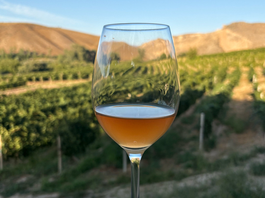 Momik Wines-Areni必去景点