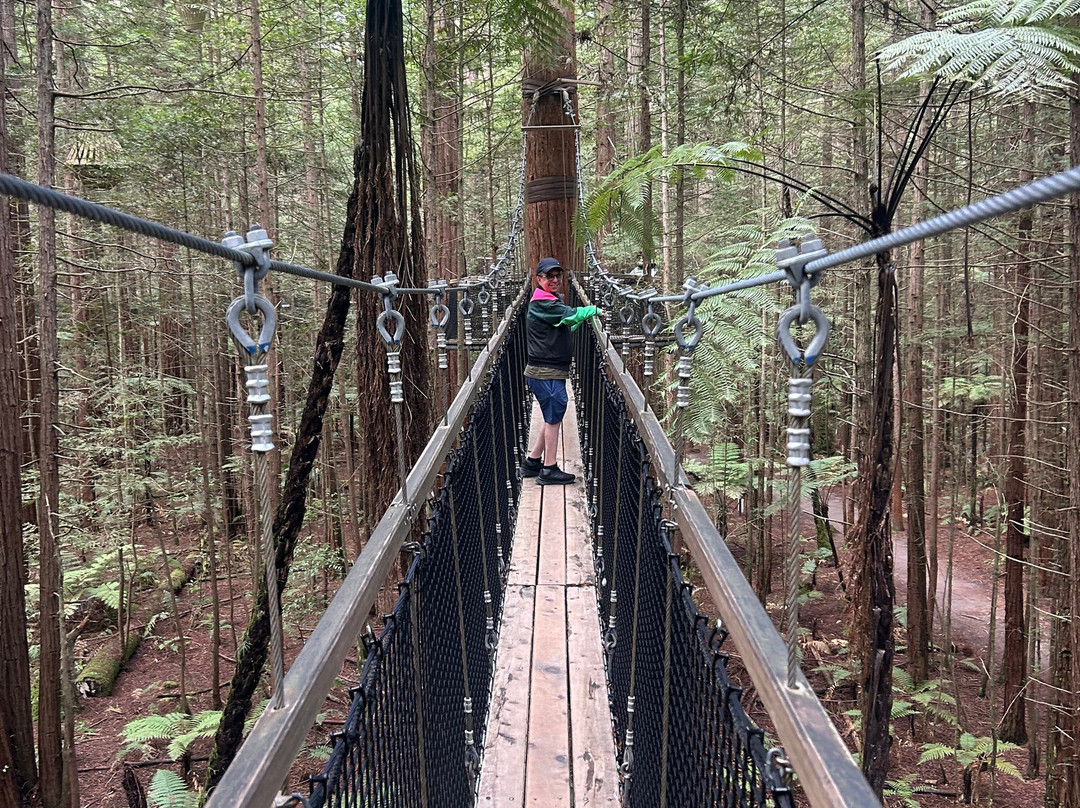 Redwoods Treewalk-罗托鲁瓦必去景点