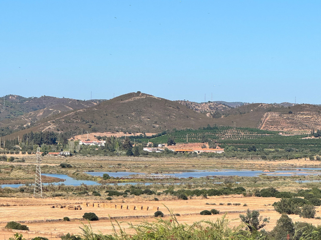 Arvad Wines-Estombar必去景点