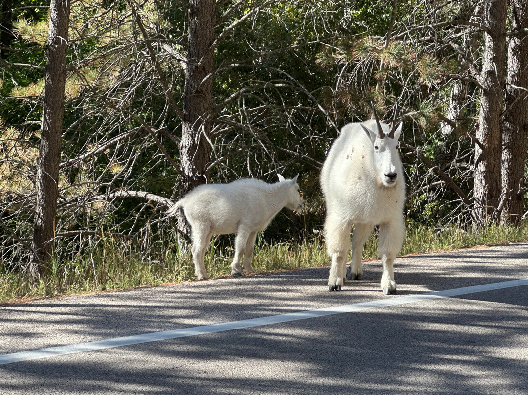 Spearfish Canyon Scenic Byway-Spearfish必去景点