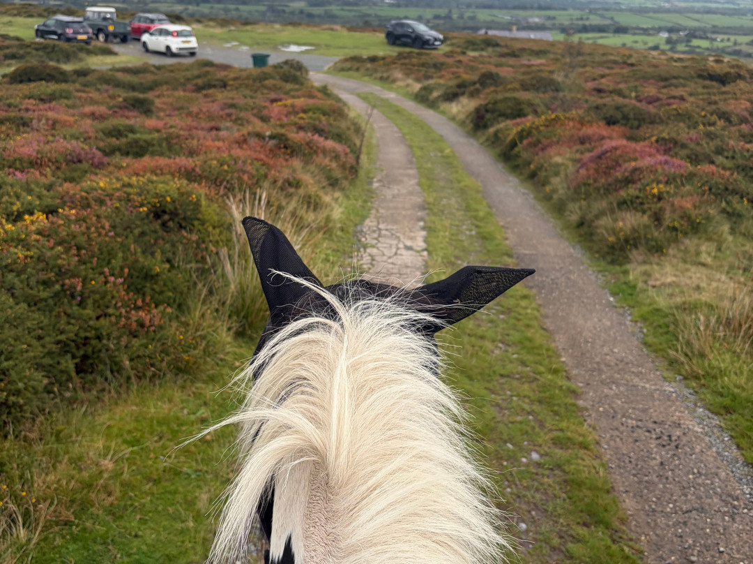 Snowdonia Riding Stables-卡那封必去景点