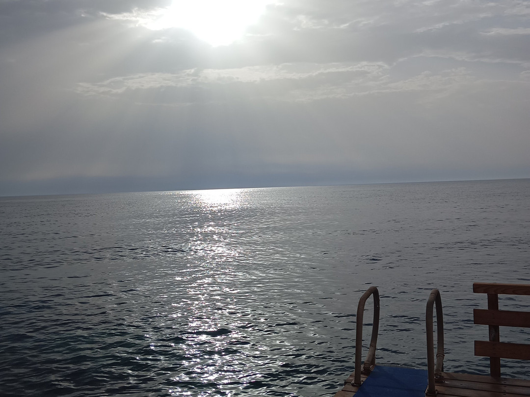 ORCA Dive Club Soma Bay-索马湾必去景点