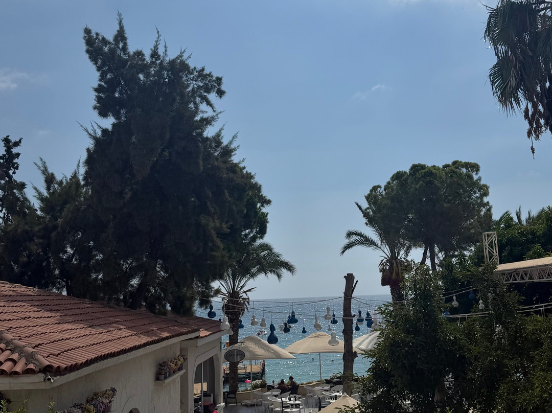 Utopia Resort & Residence主图