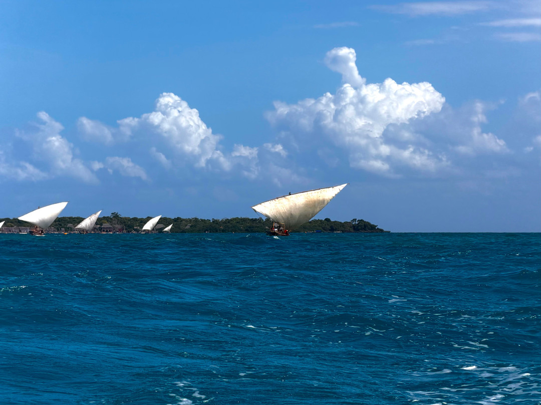 Zanzibar Kombo Tours and Safaris-桑给巴尔市必去景点