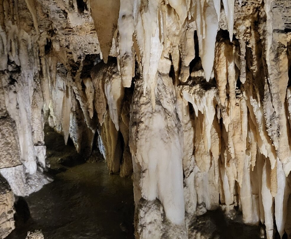 Grotta Antro del Corchia-Levigliani必去景点