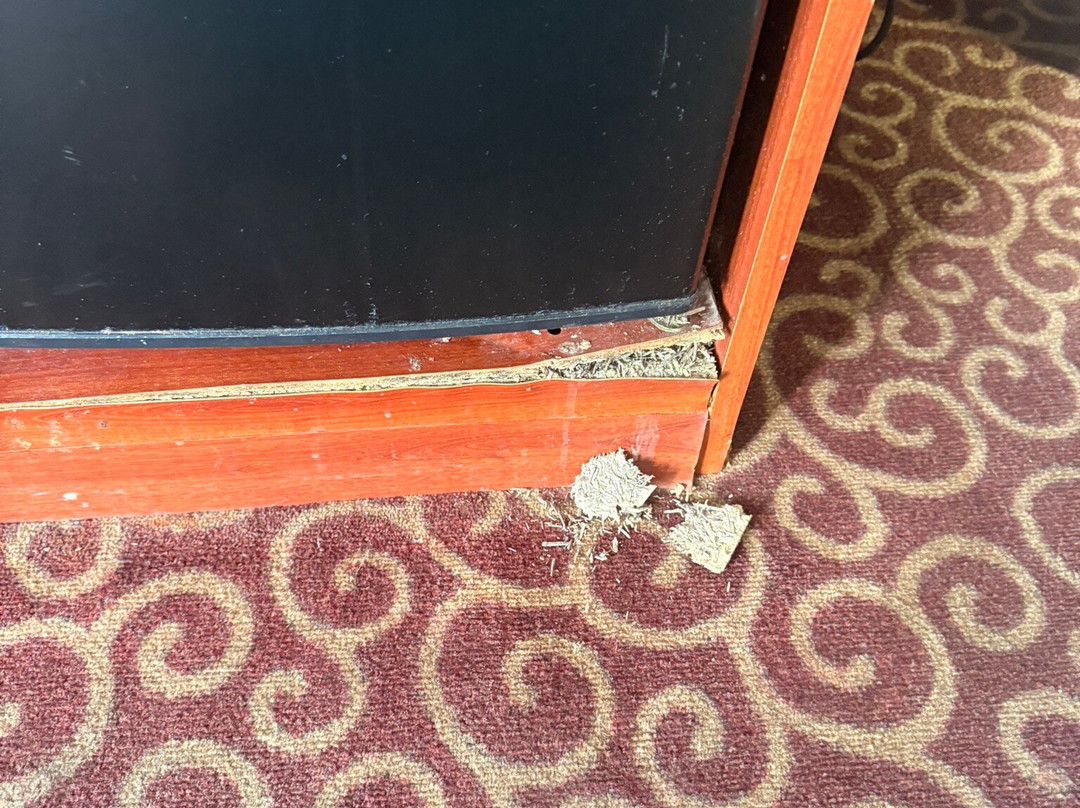 红箭旅馆及套房，温德姆旗下Travelodge主图