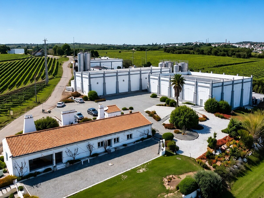 Aliestre Vineyards - Quinta da Esperança-Estremoz必去景点