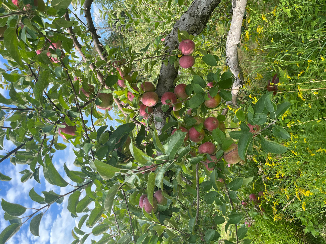 Smith's Red Apple Farm