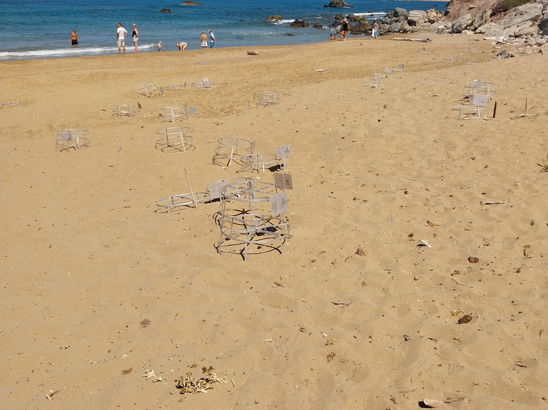 Lara Bay Turtle Conservation Station-帕福斯必去景点