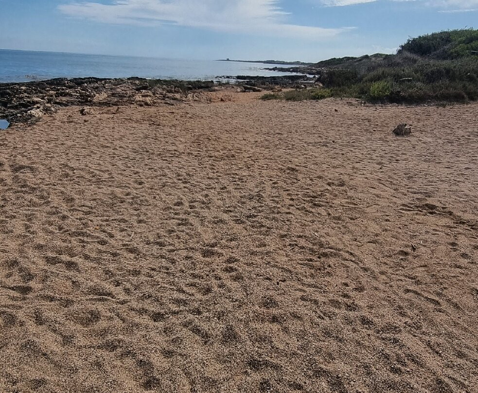 Area Marina Protetta Di Torre Guaceto-Carovigno必去景点