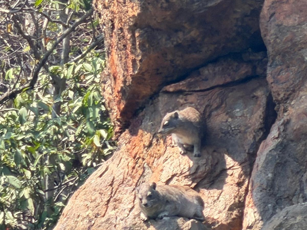 Blyde River Canyon Nature Reserve-普马兰加省必去景点