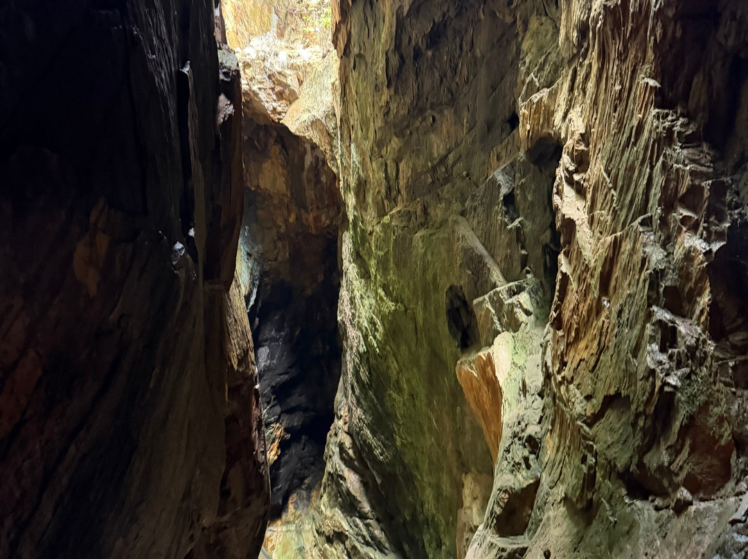Consolidated Gold Mine-达洛尼加必去景点