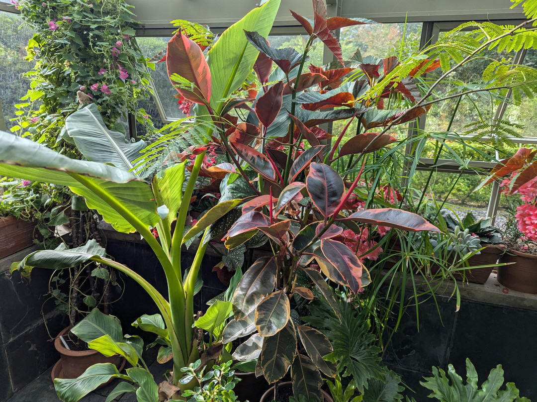 Dunvegan Castle & Gardens-Dunvegan必去景点