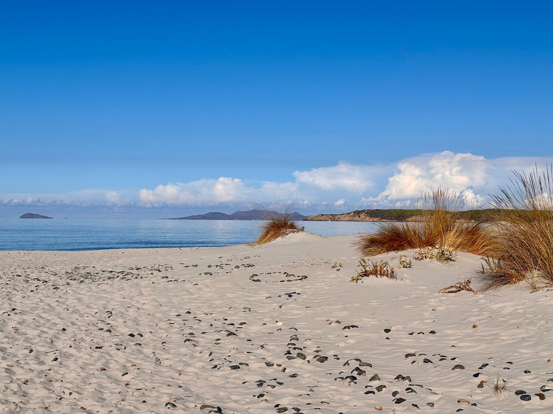 Spiaggia Is Arenas Biancas-Teulada必去景点