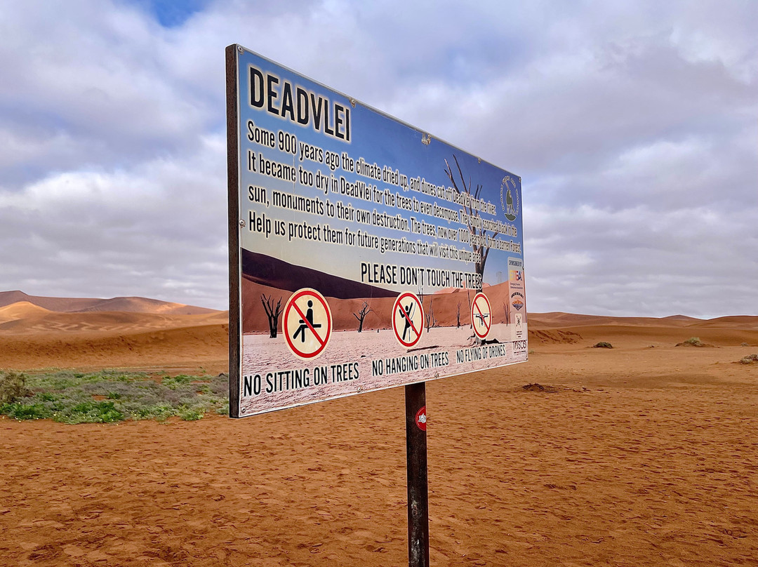 Deadvlei-苏丝斯黎必去景点