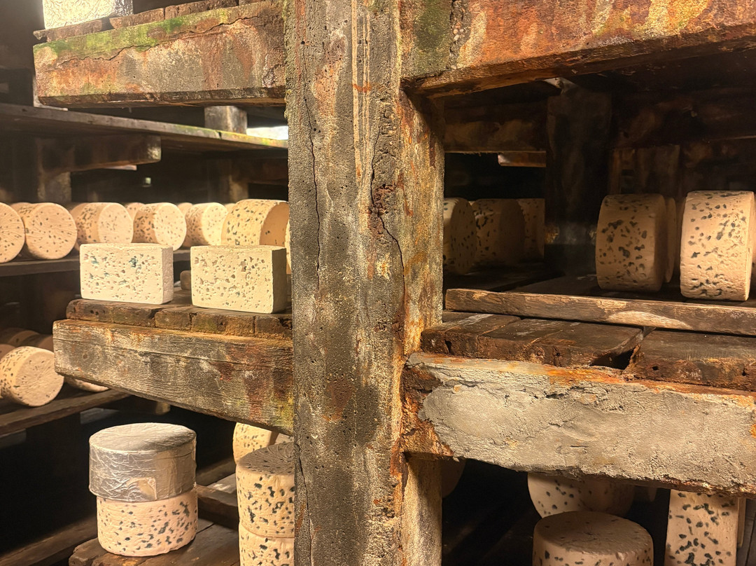 Les Caves de Roquefort-Roquefort Sur Soulzon必去景点