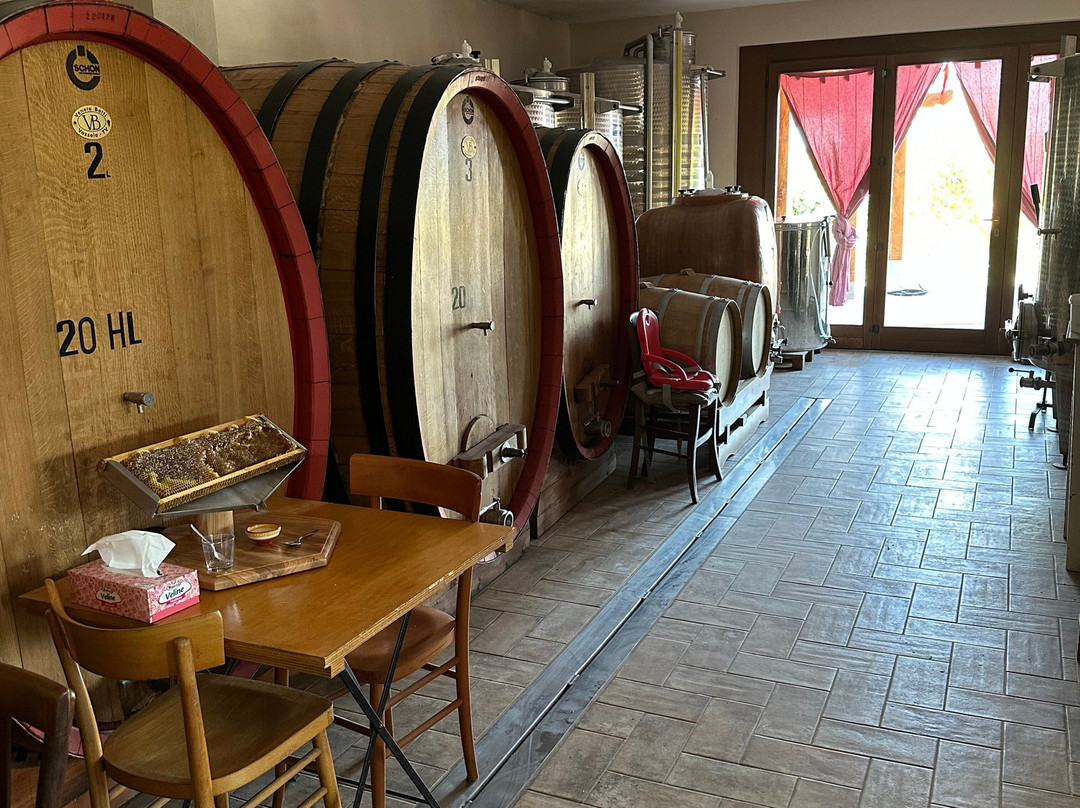 Cantina Fuccelli-Montefalco必去景点