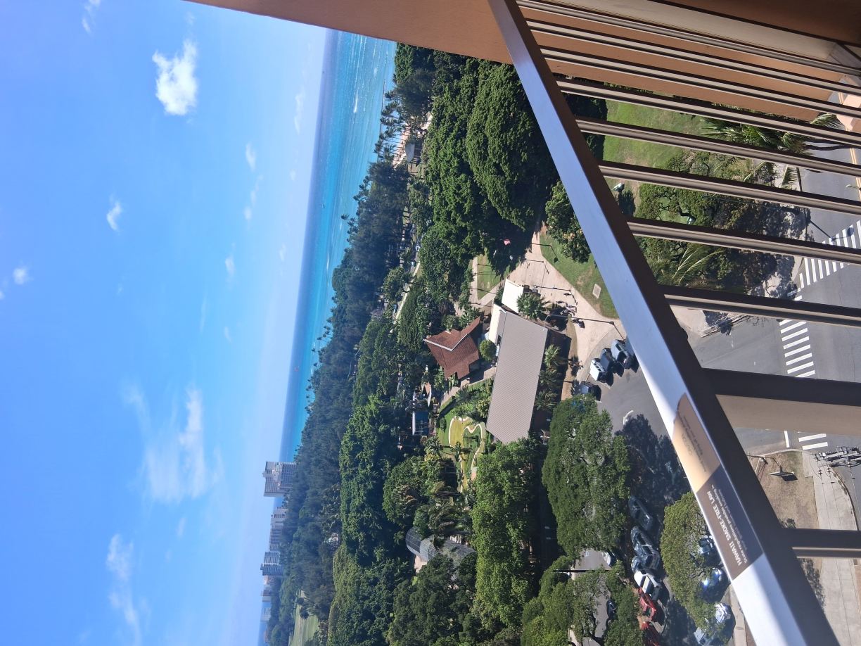 卡皮欧拉尼皇后酒店-酒店景观