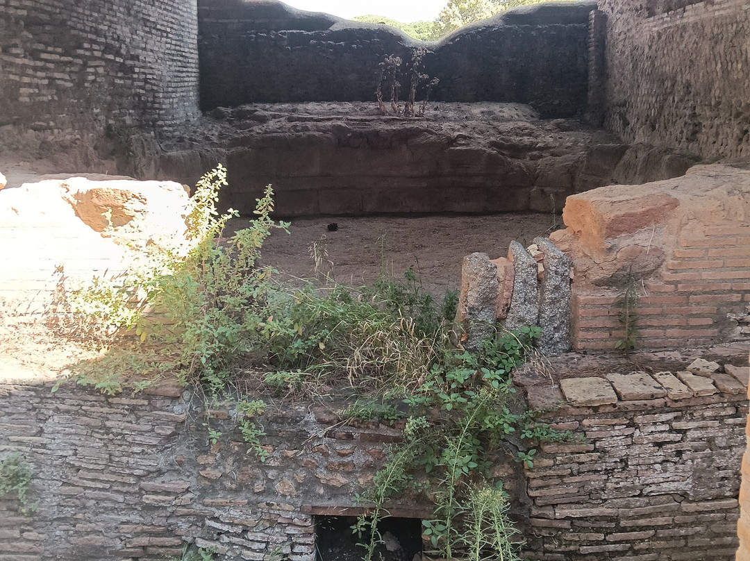 Parco Archeologico di Ostia Antica-Ostia Antica必去景点
