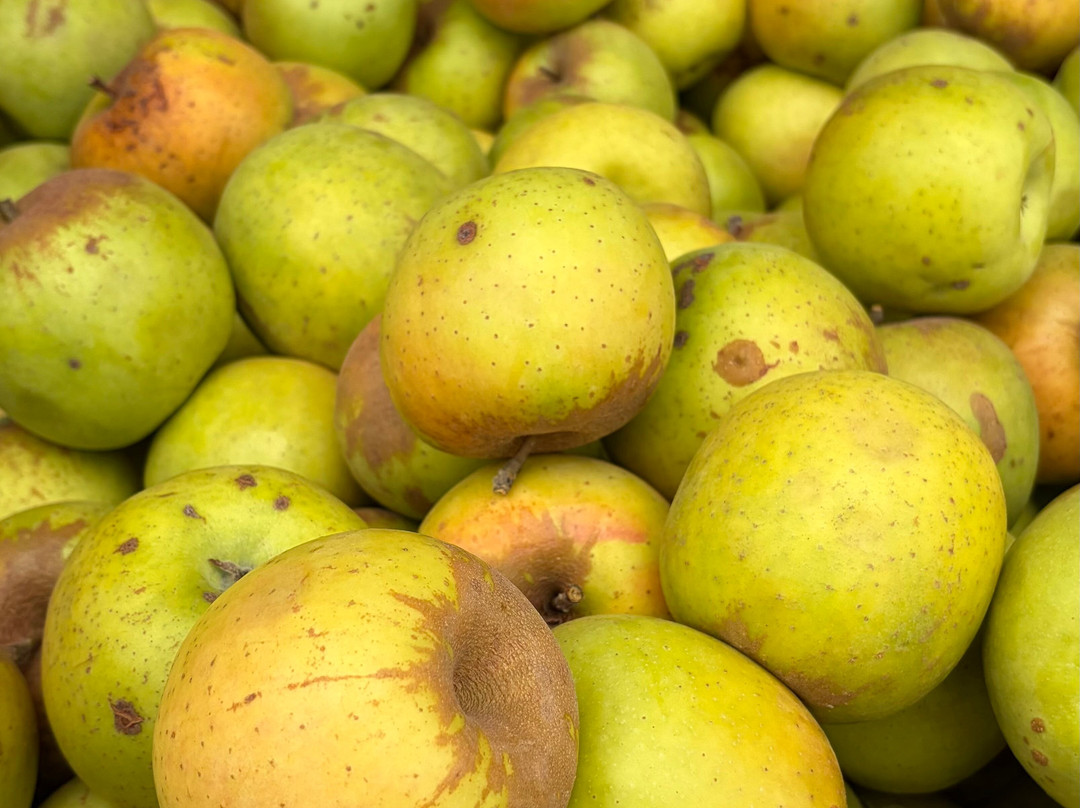 Boa Vista Orchards-普莱瑟维尔必去景点