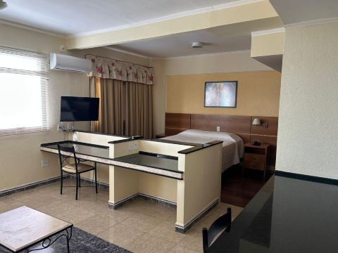 Hotel Presidente-客卧