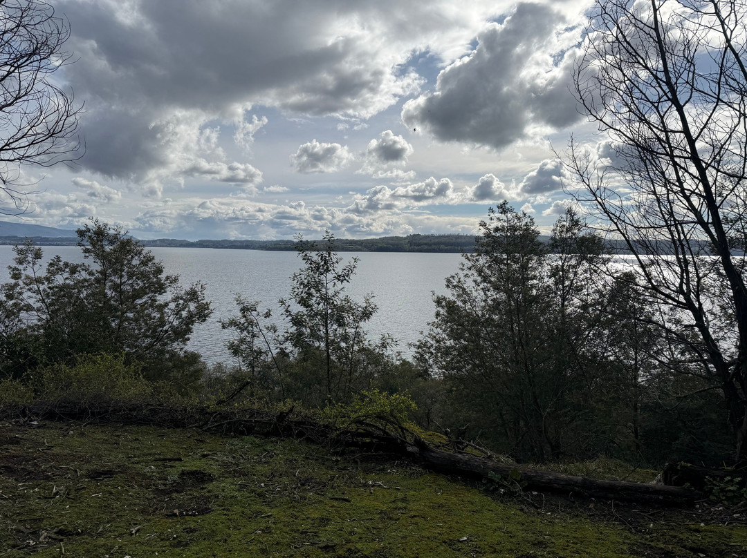 Lago Villarrica-普孔必去景点