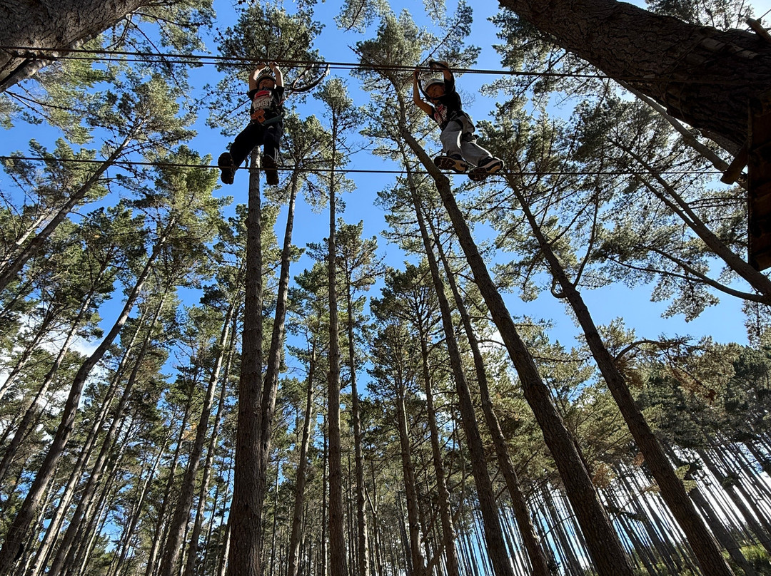 Tree Adventures-伍德山必去景点
