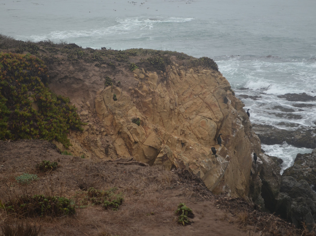 Fiscalini Ranch Preserve-坎布里亚必去景点