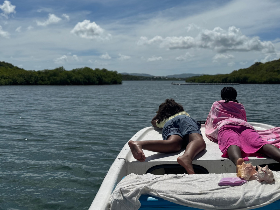 Native Tours Antigua-Seatons必去景点